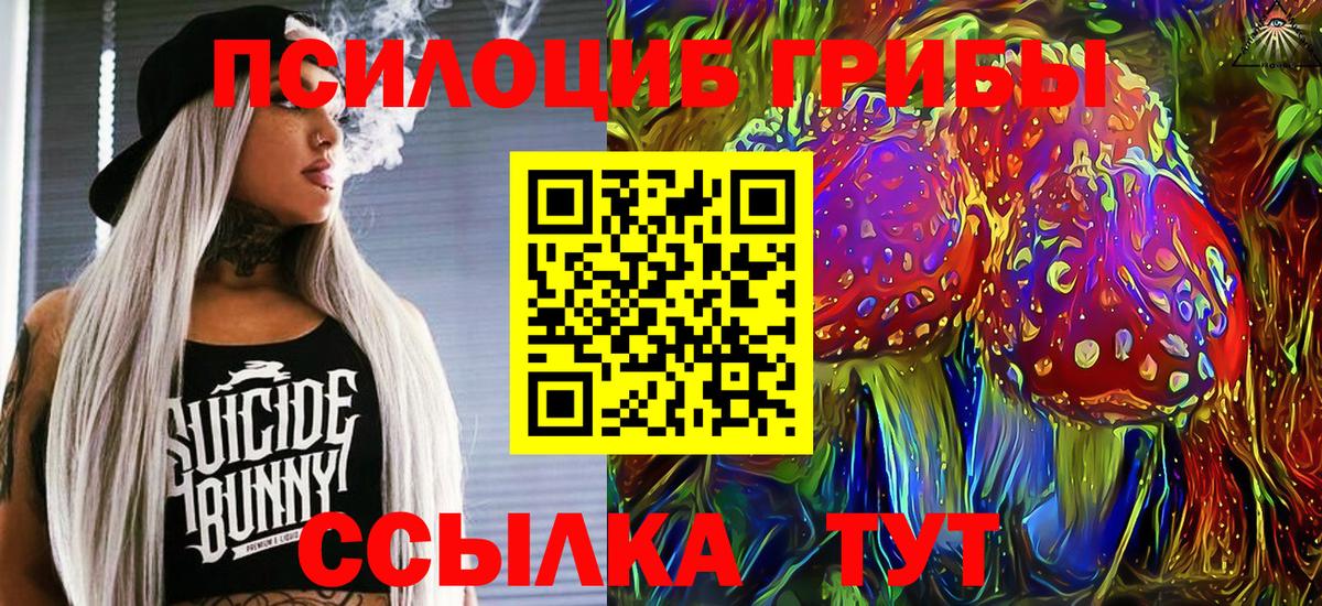 Псилоцибиновые грибы Cubensis  Вход с VPN  Ковров  Псилоцибиновые грибы GOLDEN TEACHER 