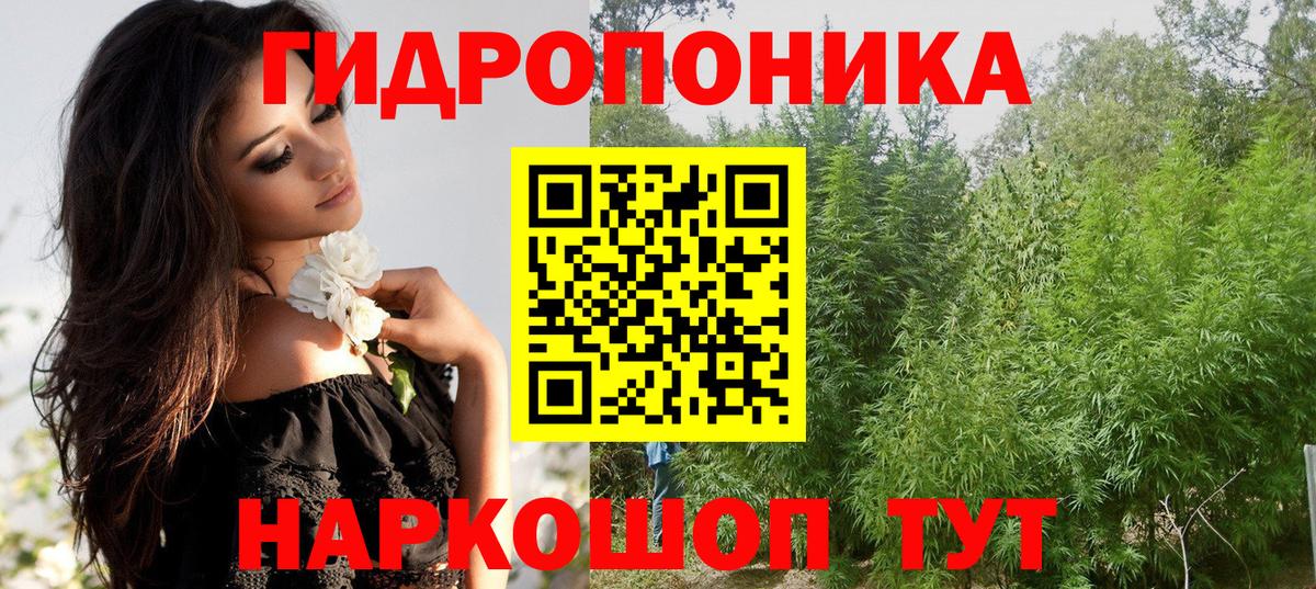 Ковров  Бошки марихуана VHQ  Шишки марихуана семена  Вход с VPN  Бошки марихуана AK-47 